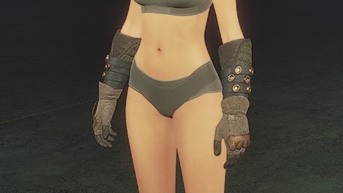 File:Mercenary Scout Female Gloves Front.jpg