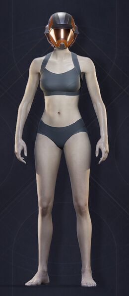 File:Menu Garments Feminine Bulwark Helmet.jpg