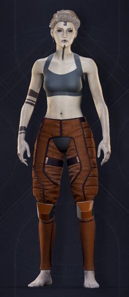 File:Menu Garments Feminine Bulwark Leggings.jpg