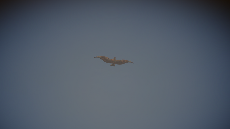 File:Desert Hawks 1.png