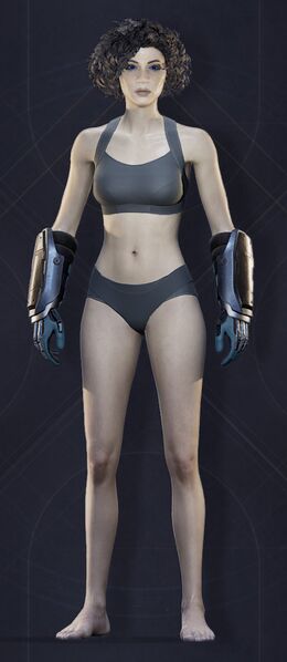 File:Menu Garments Feminine Power Gauntlets.jpg