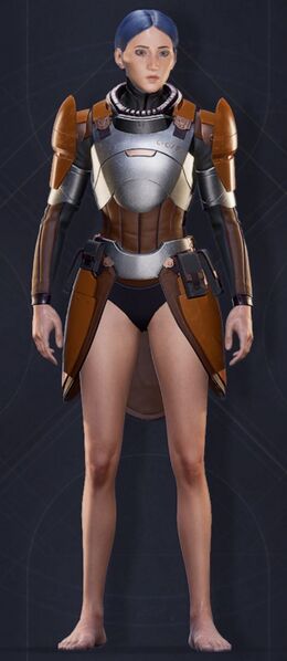 File:Menu Garments Feminine Bulwark Chest.jpg