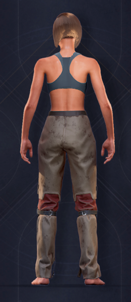 File:Duneman Heavy Pants.png