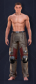 Duneman Heavy Pants Front Male