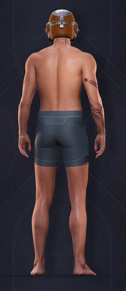 File:Menu Garments Masculine Bulwark Helmet.jpg