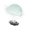 Thumbnail for version as of 21:30, 13 November 2025