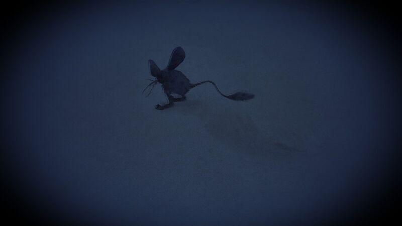 File:Muad'Dib - Western Vermillius Gap.jpg