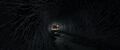 Thumbnail for version as of 15:59, 25 May 2026