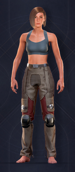 File:Duneman Heavy Pants 1.png