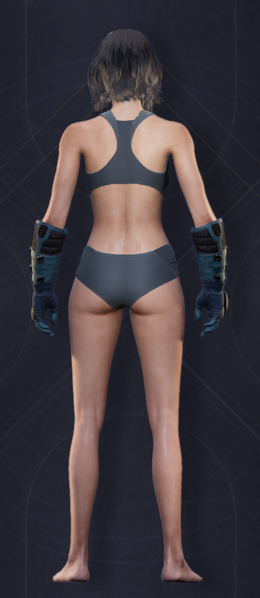File:Menu Garments Feminine Chosen Gauntlets.png
