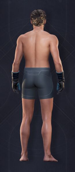 File:Menu Garments Masculine Shock Gauntlets.jpg