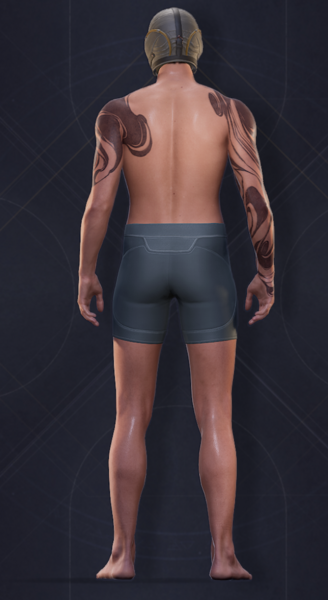 File:Shaded Hood (Male) 1.png