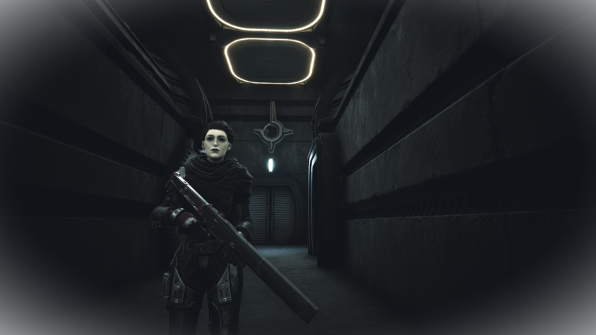 User:ARedPandah's NA character wielding the Atreides Battle Rifle