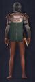 Mercenary Heavy Chestplate Back (Feminine)