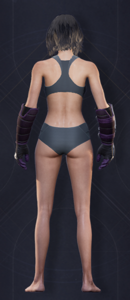 File:Menu Garments Feminine Acheronian Gauntlets.png