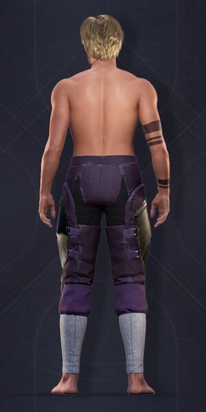 File:Menu Garments Masculine Stim-Leggings.JPG