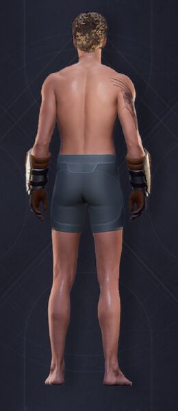 File:Bulwark Gloves.jpg