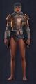 Mercenary Heavy Chestplate front Female