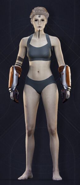 File:Menu Garments Feminine Bulwark Gloves.jpg