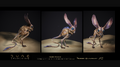Thumbnail for version as of 15:56, 23 October 2026
