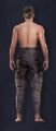 Makeshift Pants rear view (Male)