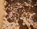 Thumbnail for version as of 06:50, 15 February 2026