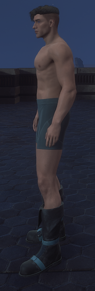 File:Chosen Boots 01.png