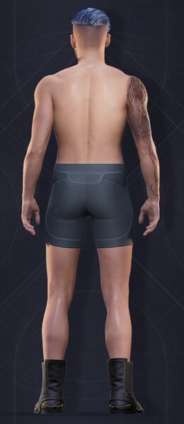 File:Idaho Softstep Boots 1.jpg