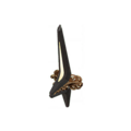 Thumbnail for version as of 01:02, 22 September 2026