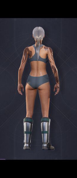 File:Menu Garments Feminine Bulwark Boots.jpg