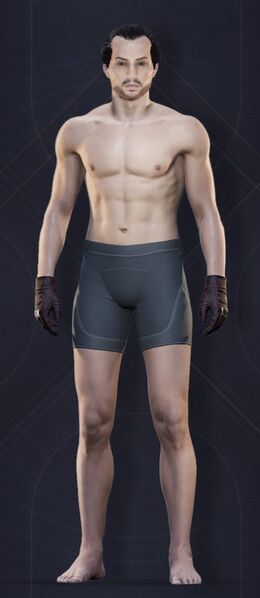 File:Menu Garments Masculine Power Gauntlets.jpg