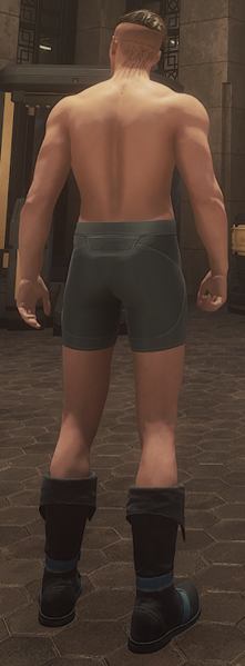 File:Chosen Boots 02.png