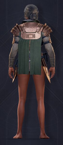 File:Mercenary Heavy Chestplate.jpg