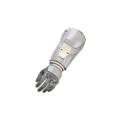 Thumbnail for version as of 04:48, 11 October 2026