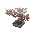 Thumbnail for version as of 01:03, 22 September 2026