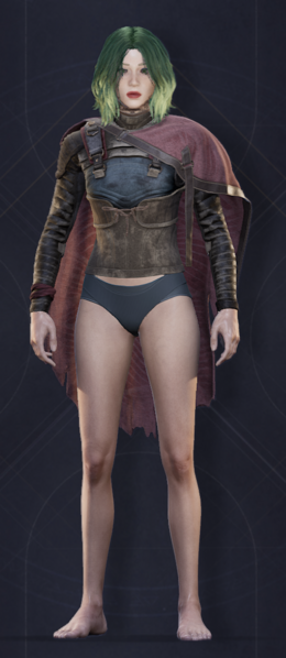 File:Menu Garments Feminine Scavenger Chestpiece.png