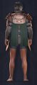 Mercenary Heavy Chestplate Back (Masculine)