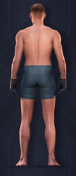 File:Duneman Heavy Gloves Back Male.png