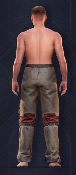 File:Duneman Heavy Pants 2.png