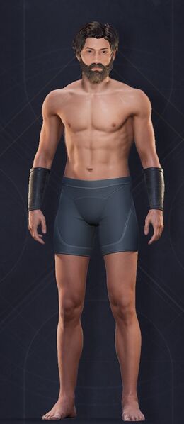 File:Menu Garments Masculine Maula Bracers.jpg