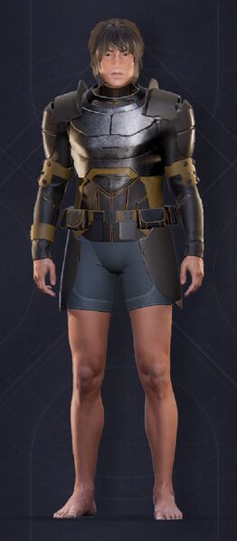 File:Menu Garments Masculine Pincushion Chestpiece.jpg