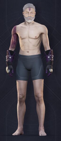 File:Menu Garments Masculine Syndicate Gauntlets.jpg