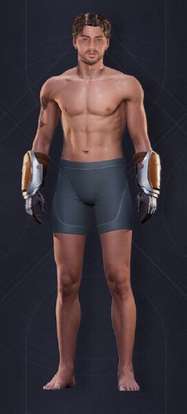 File:Bulwark Gloves Masc.jpg