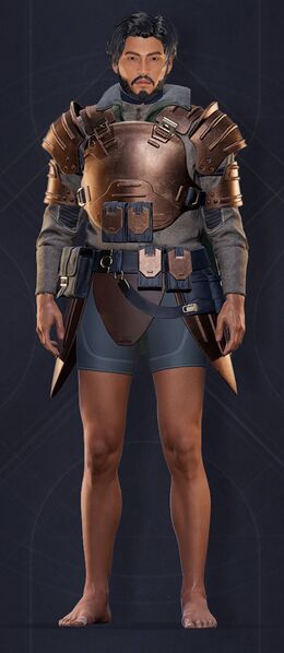File:Mercenary Heavy Chestplate 3.jpg