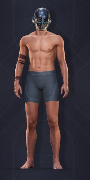 File:Menu Garments Masculine Chosen Helmet.jpg