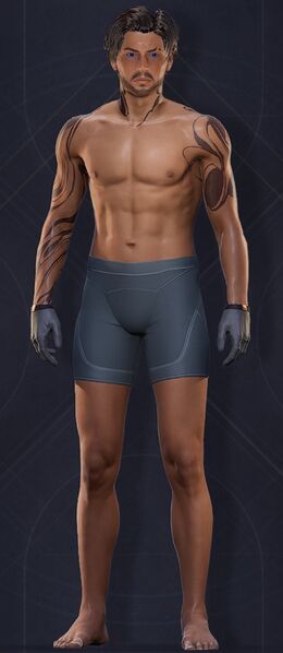 File:Menu Garments Masculine Hook-claw Gloves.jpg