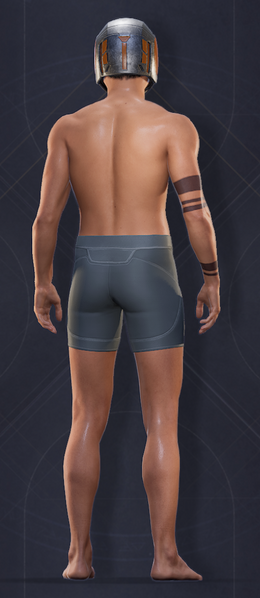 File:Choam Scout Helmet 2.png