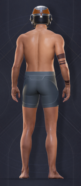 File:Choam Heavy Helmet 2.png