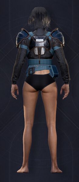 File:Menu Garments Feminine Oathbreaker Chestpiece.jpg