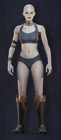 File:Menu Garments Feminine Pincushion Boots.jpg